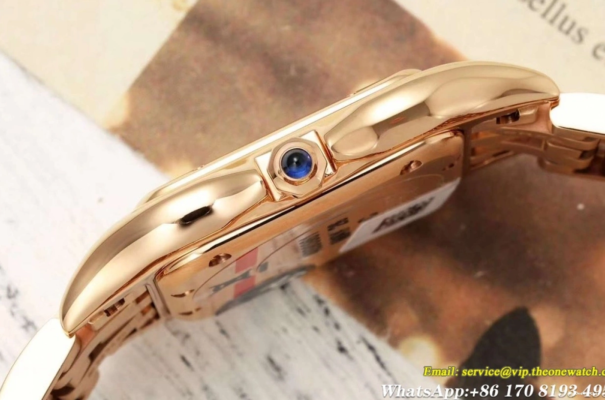 Dial RG Quartz Brown Panthere Ladies De AF 27mm Secrete RG 0112